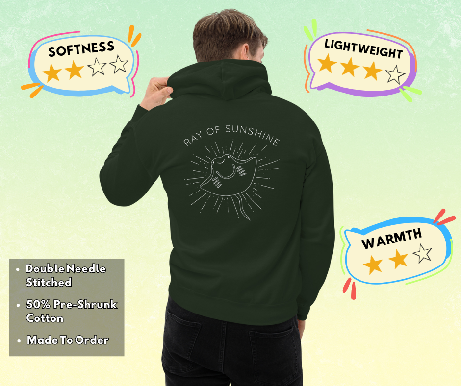 Men's Ray Of Sunshine Hoodie